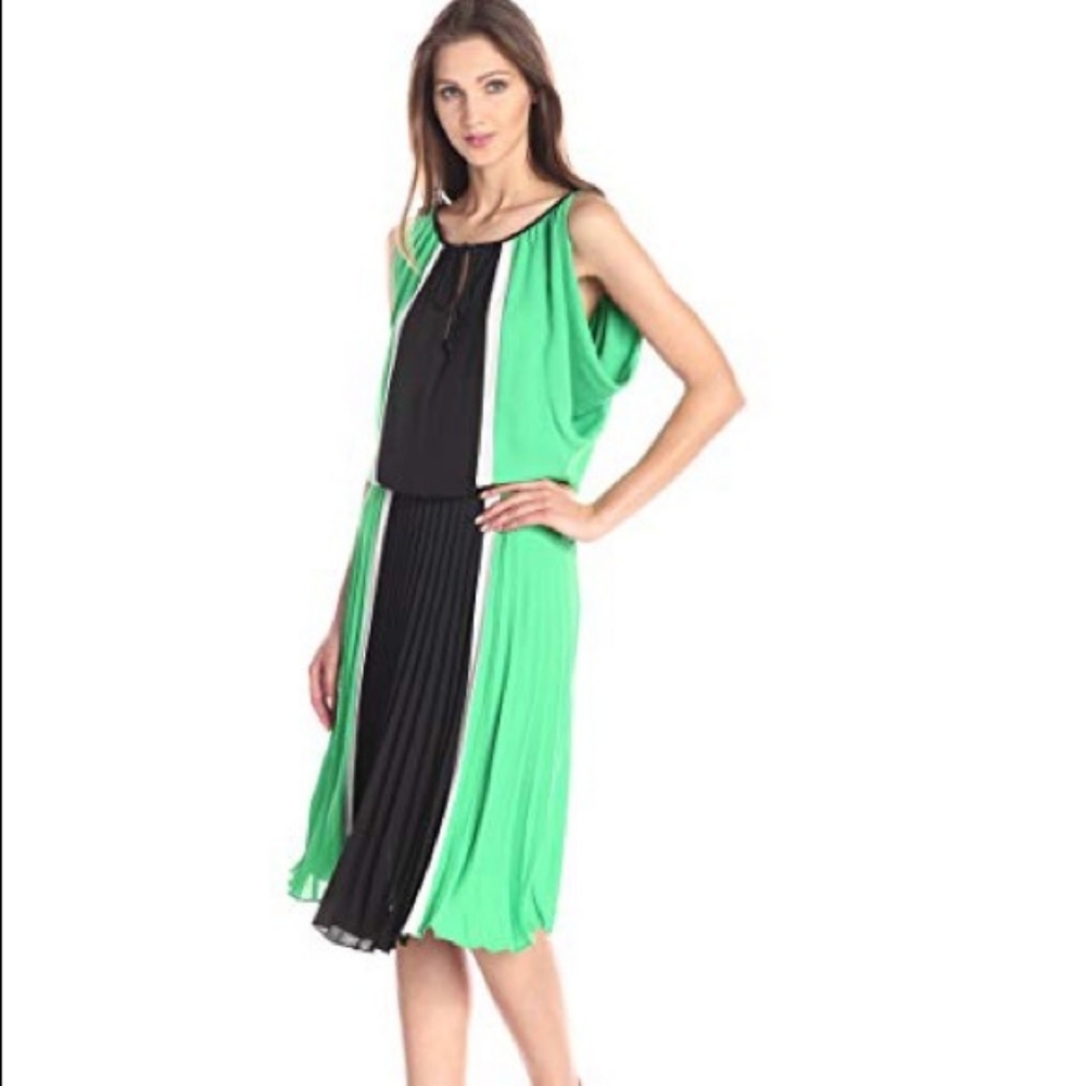 BCBG Maxazria Color blocked Pleated DRESS